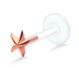 Star Fish Shaped Labrets Push-in LA-754